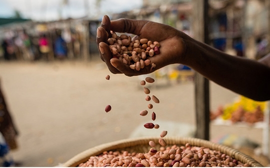 Alat Keputusan Ekonomi Politik untuk Jalur Sistem Pangan Alat Keputusan Ekonomi Politik untuk Jalur Sistem Pangan